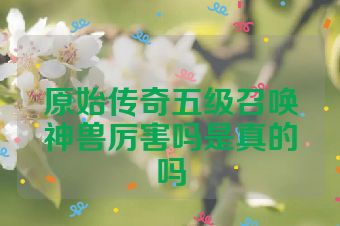 原始传奇五级召唤神兽厉害吗是真的吗