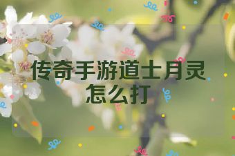 传奇手游道士月灵怎么打