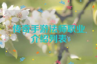 传奇手游法师职业介绍列表