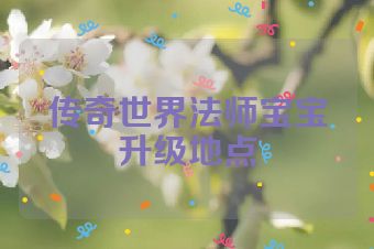 传奇世界法师宝宝升级地点