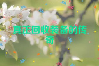 真正回收装备的传奇