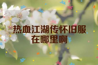 热血江湖传怀旧服在哪里啊