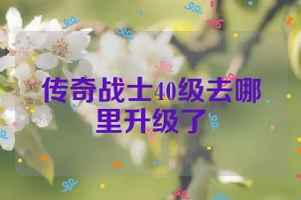 传奇战士40级去哪里升级了