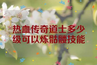 热血传奇道士多少级可以炼骷髅技能