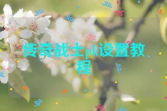 传奇战士pk设置教程