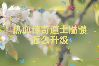热血传奇道士骷髅怎么升级