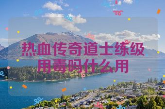 热血传奇道士练级用毒吗什么用