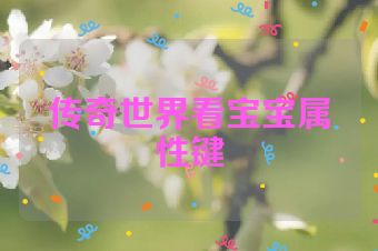 传奇世界看宝宝属性键