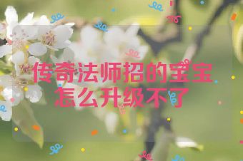 传奇法师招的宝宝怎么升级不了
