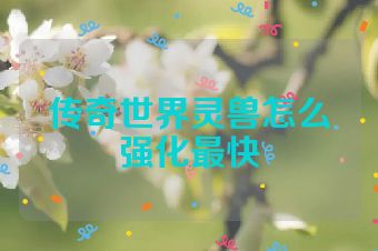 传奇世界灵兽怎么强化最快