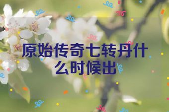 原始传奇七转丹什么时候出