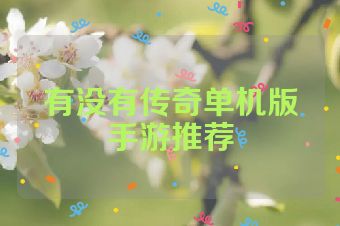 有没有传奇单机版手游推荐
