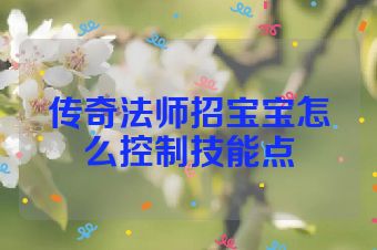 传奇法师招宝宝怎么控制技能点