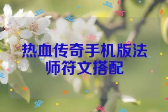 热血传奇手机版法师符文搭配