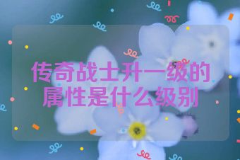 传奇战士升一级的属性是什么级别