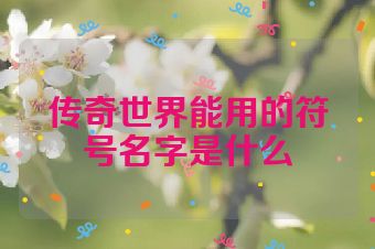 传奇世界能用的符号名字是什么