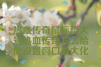 热血传奇鼠标垫大号热血传奇怎么给他设置窗口最大化
