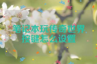 笔记本玩传奇世界按键怎么设置