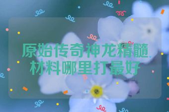 原始传奇神龙精髓材料哪里打最好