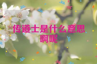 传道士是什么意思啊呢