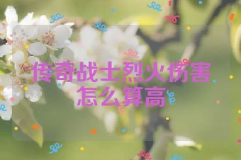 传奇战士烈火伤害怎么算高