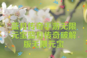 蓝月传奇手游无限元宝蓝月传奇破解版无限元宝