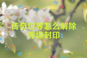传奇世界怎么解除等级封印