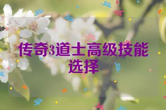 传奇3道士高级技能选择