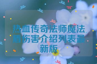 热血传奇法师魔法盾伤害介绍列表最新版