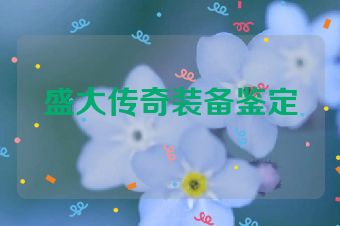 盛大传奇装备鉴定
