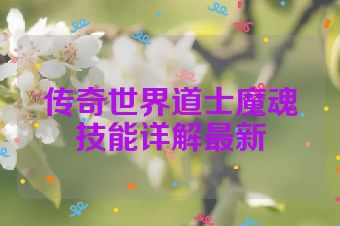 传奇世界道士魔魂技能详解最新