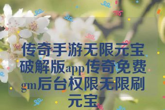 传奇手游无限元宝破解版app传奇免费gm后台权限无限刷元宝