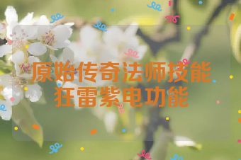 原始传奇法师技能狂雷紫电功能