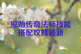 原始传奇法师技能搭配攻略最新