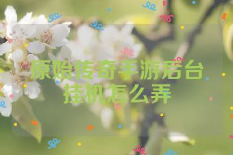 原始传奇手游后台挂机怎么弄