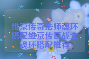 维京传奇法师魂环搭配维京传奇战士魂环搭配推荐