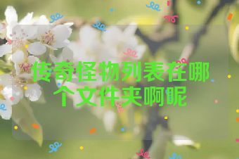 传奇怪物列表在哪个文件夹啊呢