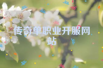 传奇单职业开服网站