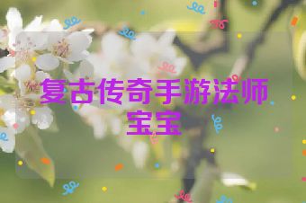 复古传奇手游法师宝宝