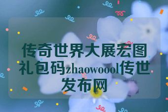 传奇世界大展宏图礼包码zhaowoool传世发布网