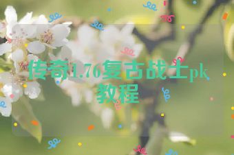 传奇1.76复古战士pk教程