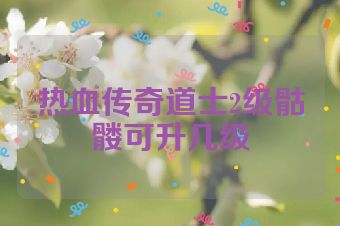 热血传奇道士2级骷髅可升几级
