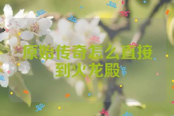 原始传奇怎么直接到火龙殿
