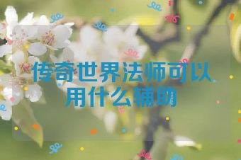 传奇世界法师可以用什么辅助