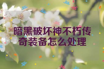 暗黑破坏神不朽传奇装备怎么处理
