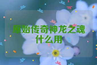 原始传奇神龙之魂什么用