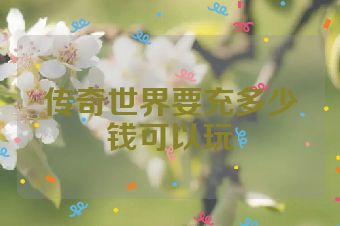 传奇世界要充多少钱可以玩