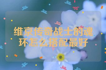 维京传奇战士的魂环怎么搭配最好