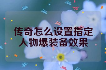 传奇怎么设置指定人物爆装备效果