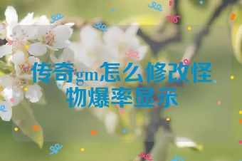 传奇gm怎么修改怪物爆率显示